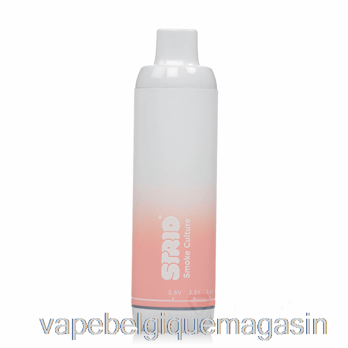 Vape Jetable Strio Cartboy Pro Twist 510 Batterie Pêche Congelée